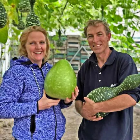 Hotelhuisje #d Warmenhuizen