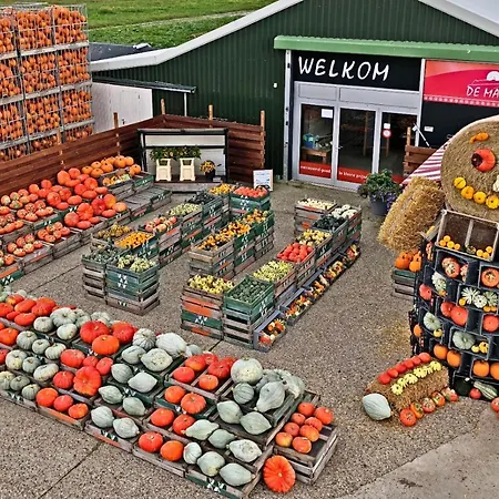 Hotelhuisje #d * Warmenhuizen