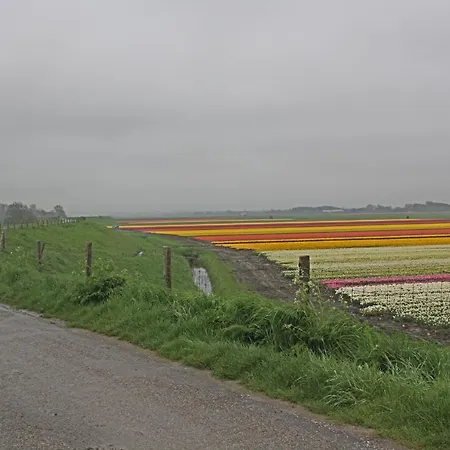 Hotelhuisje #d Tatil Evi Warmenhuizen