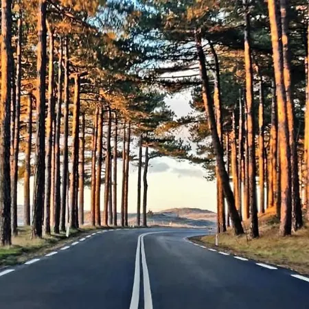 Hotelhuisje #d 度假居 瓦门赫伊曾