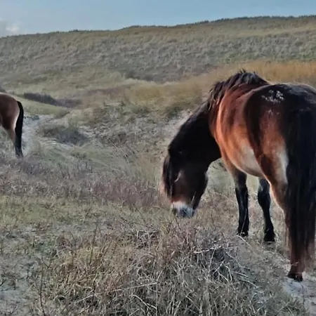 Hotelhuisje #d 度假居