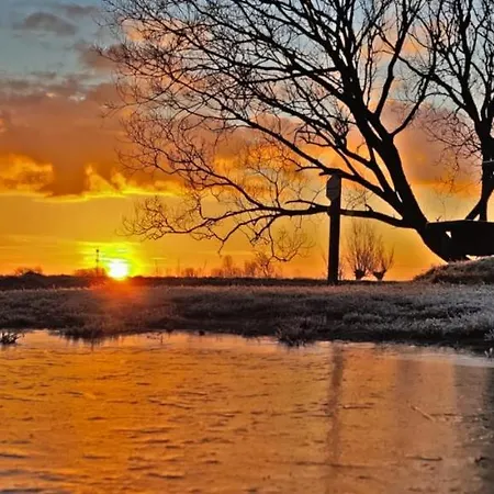 Hotelhuisje #d 度假居 瓦门赫伊曾