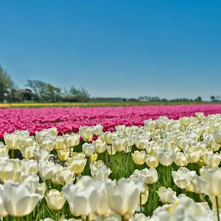 Hotelhuisje #d 度假居 *