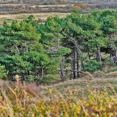 Hotelhuisje #d Tatil Evi Warmenhuizen