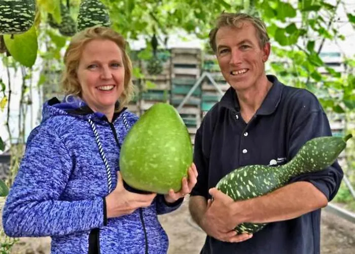 Hotelhuisje #d Варменхёйзен