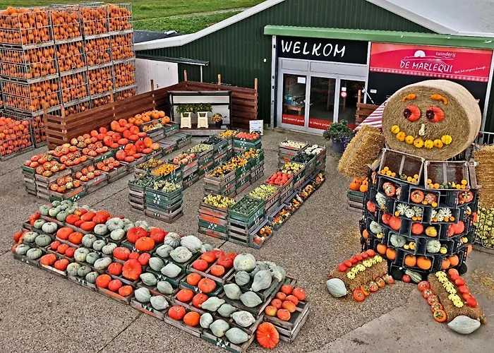 Hotelhuisje #d * Варменхёйзен