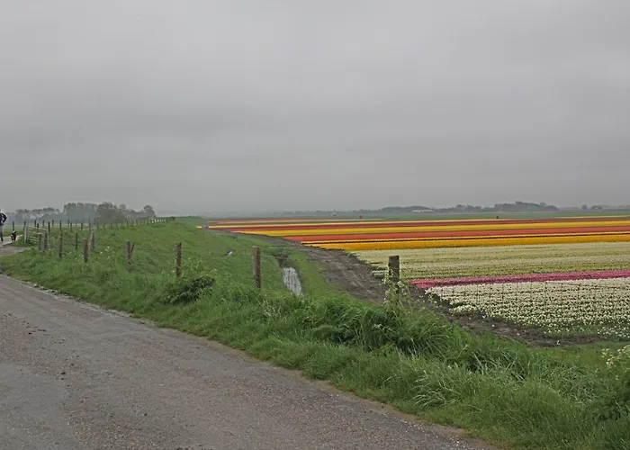 Hotelhuisje #d Дом отдыха Варменхёйзен