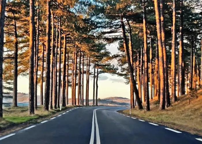 Hotelhuisje #d Hébergement de vacances Warmenhuizen