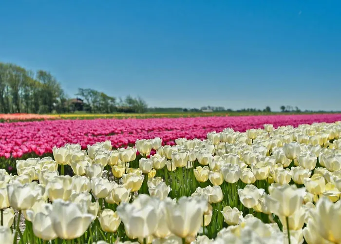 Hotelhuisje #d Дом отдыха *