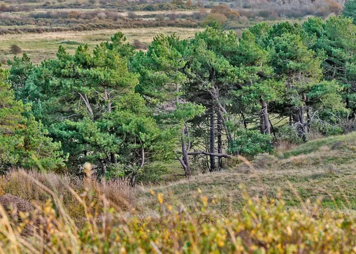 Hotelhuisje #d Дом отдыха Варменхёйзен