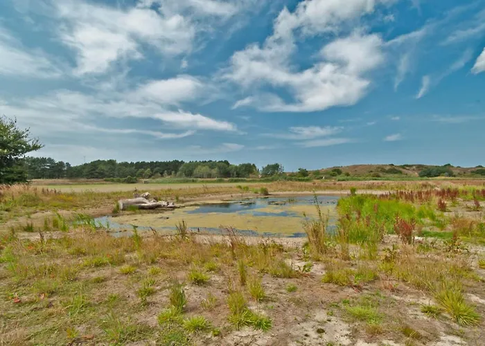 Hotelhuisje #d Дом отдыха