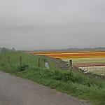 Hotelhuisje #d Casa de Férias Warmenhuizen